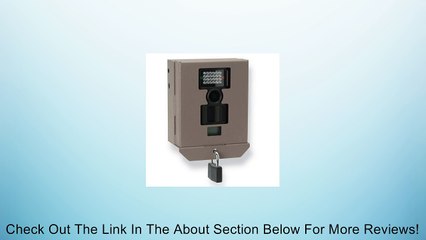 GSM STC-BBU Security Bear Box Review