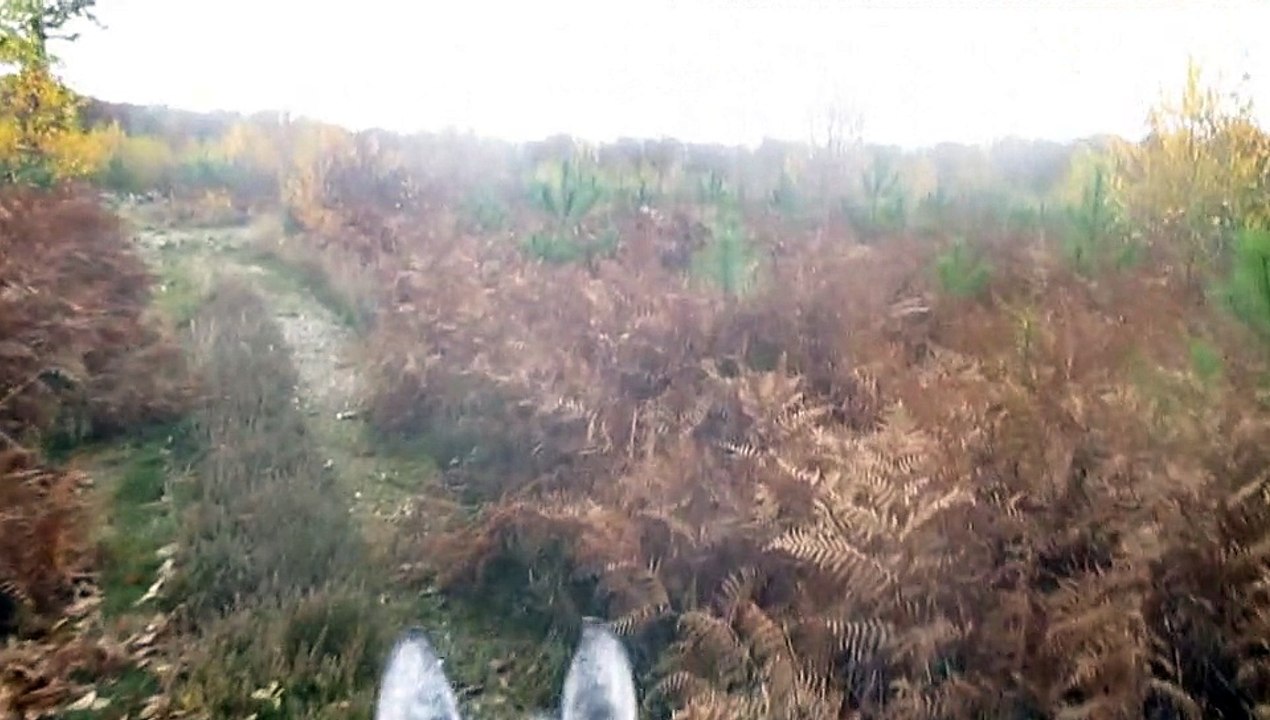 Balade avec Urigo 16.11.2014