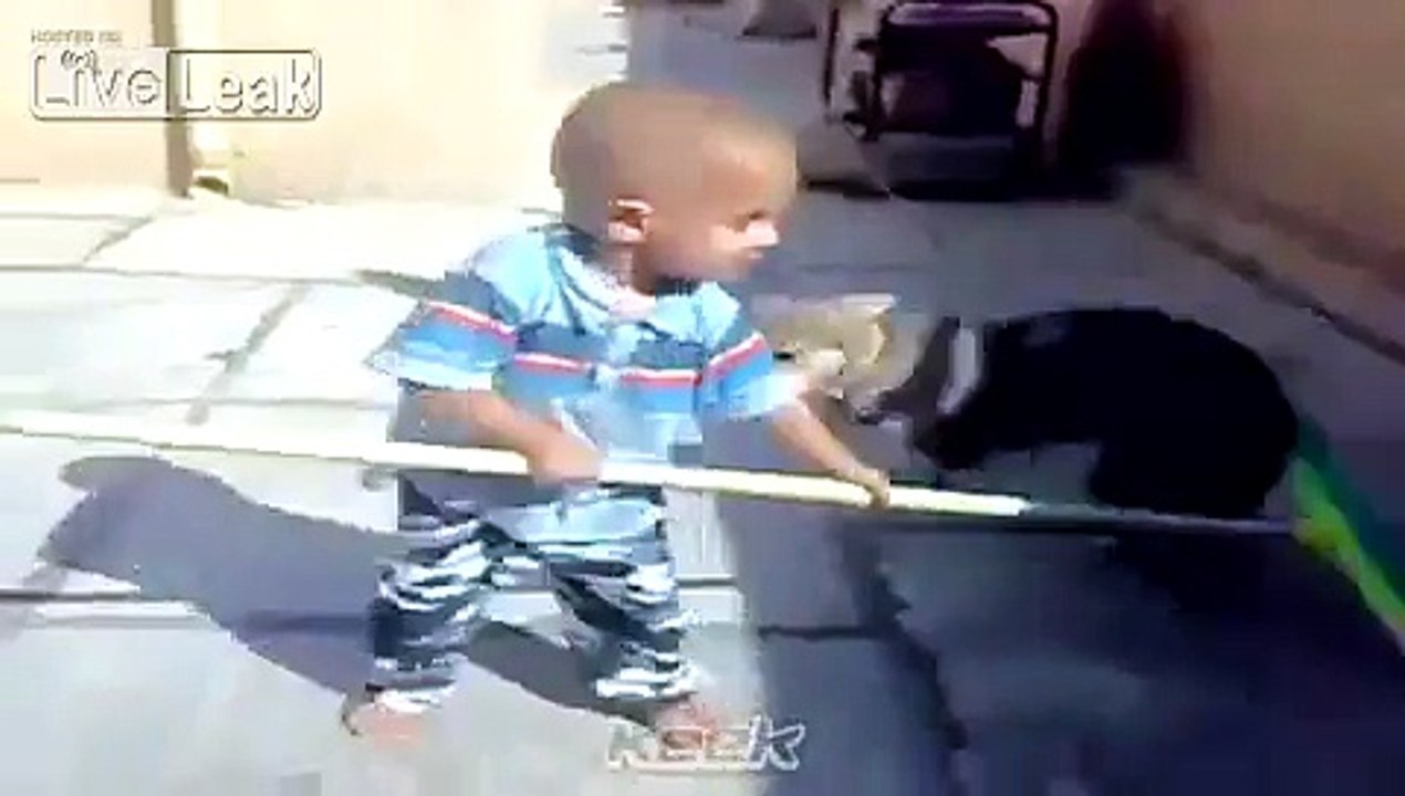 Dunya News - Kid retaliates dog bite
