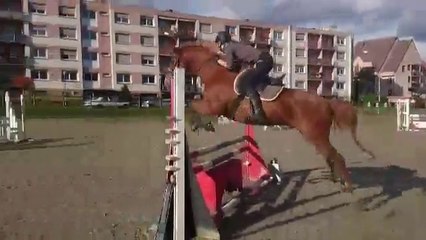 Ody - Séance obstacle le 16 novembre 2014