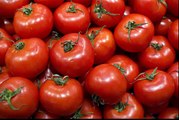 طريقة تحضير طماطم معلبة بدون مواد حافظة