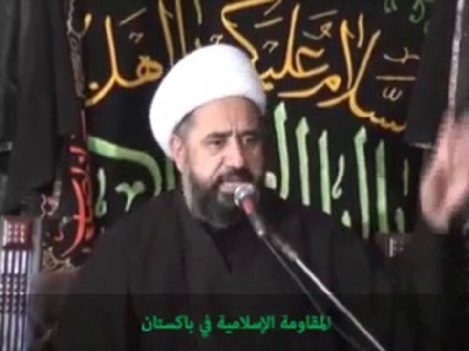 علامہ امين شہيدى - شیعہ سنی ہم آہنگی