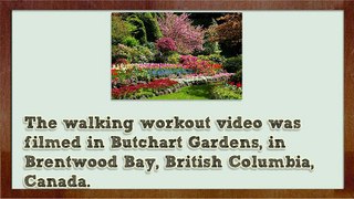Arthritis Relief Walking Workout for Seniors Video Review