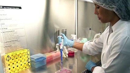 Ticks Definitely Suck, But Their Spit Could Cure Cancer