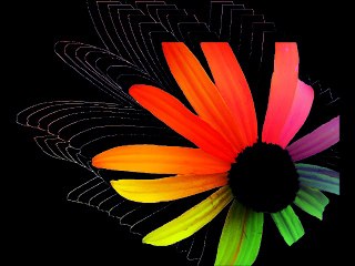 Psychedelic Flower II by Mariachis Gringos and The Electric Trunk