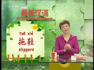 《Growing up with Chinese》Lesson 13 Breakfast