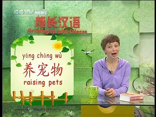 《Growing up with Chinese》Lesson 19 Talking about pets