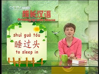 《Growing up with Chinese》 Lesson 20 Homework and courses