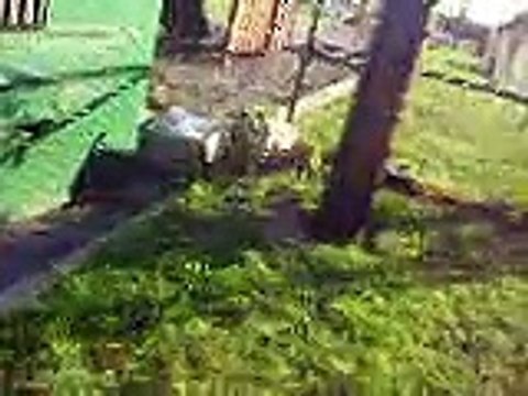 #lebron12 nba espn got me blocked from tweeting cleveland #cavs grand opener dogman karma 10/30/14