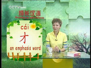 《Growing up with Chinese》Lesson 32 Interests
