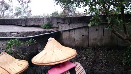 20141115四草綠色隧道全程(00h00m00s-00h11m26s)