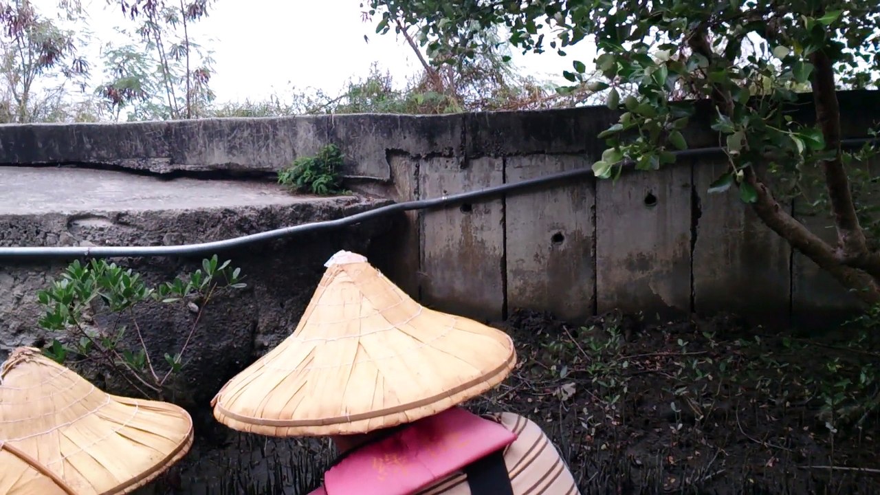 20141115四草綠色隧道全程(00h00m00s-00h11m26s)