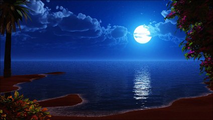[Solo guitar tab] 月影 -Moonlight-  (YOSHINORI TANAKA) 田中佳憲 original song ※タブ譜あり sheet music