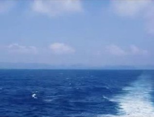 エリカの花散るとき・・クミコ
