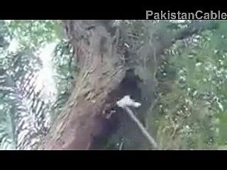 Mojza Miracle in ashora karbala