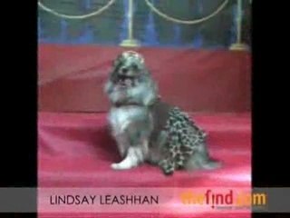 2007 Golden Bones Pet Oscars