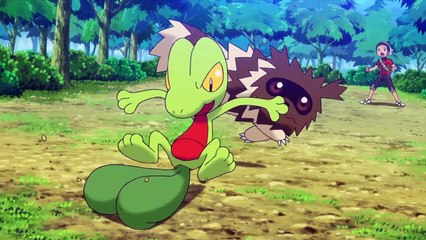 Short Anime Pokemon ORAS