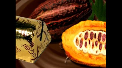 Discover the Significant Benefits of Dark Chocolate for Men