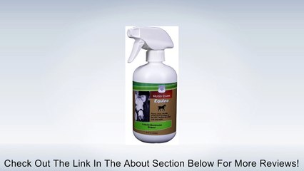 Hugs Care Equine Liquid Bandage Spray Review