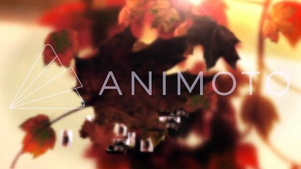 Long Term Natural Weight Loss