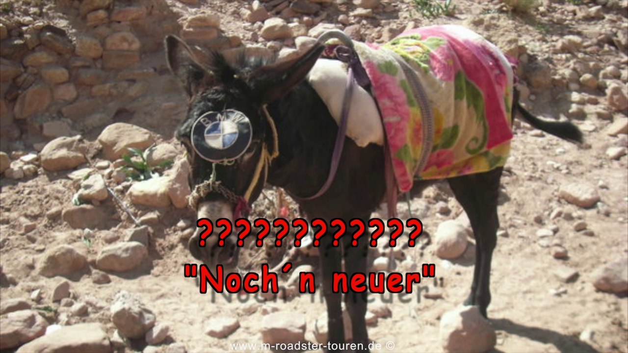 rapidozzzz special V1.0.2014 Final