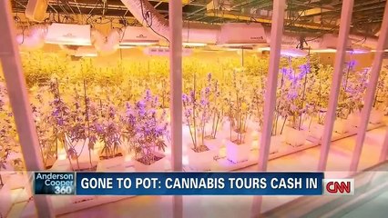 CNN Reporter Gets Contact High Covering Colorado Pot Story