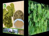 the type of  anti-cancer Ginkgo biloba Extract