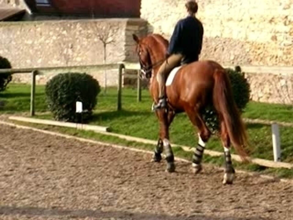 Michel et Catherine Henriquet 2