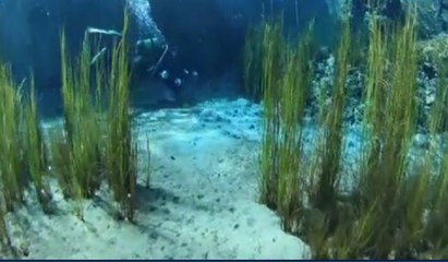Dalgıçlar, Sakarya Nehri’nin kaynağını görüntüledi