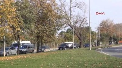 Yalova'da Kavşak İçin Ağaç Kesimine Protesto