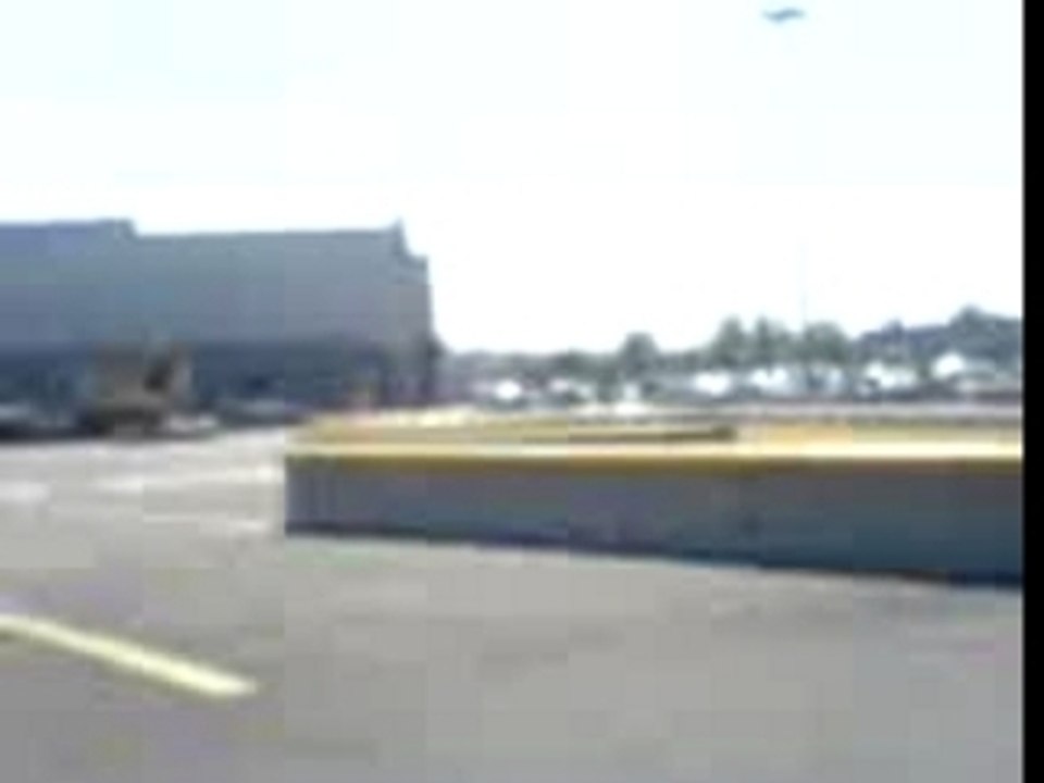 Pato video