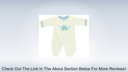 Baby Soy O Soy Convertible Bundler Review