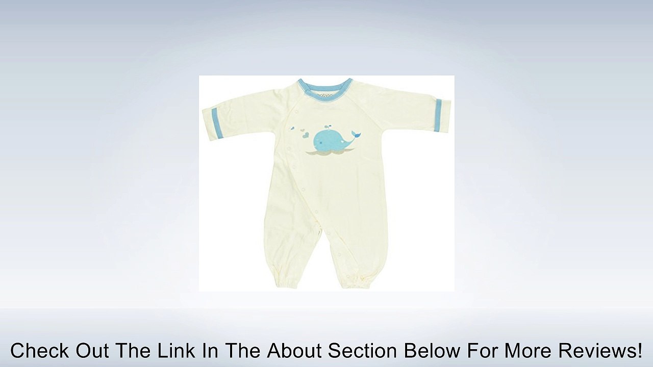 Baby Soy O Soy Convertible Bundler Review