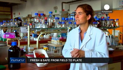 Freschi e sani: gli ortaggi dal campo alla tavola