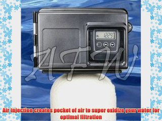 Air Injection Iron Sulfur and manganese Removal Oxidizing Water Filter For Whole House AI25 2510SXT