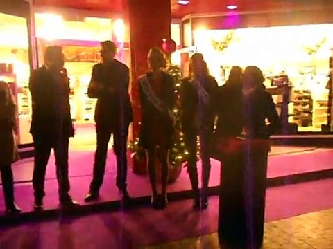 Beauvais : les vitrines de Noël des galeries Lafayette