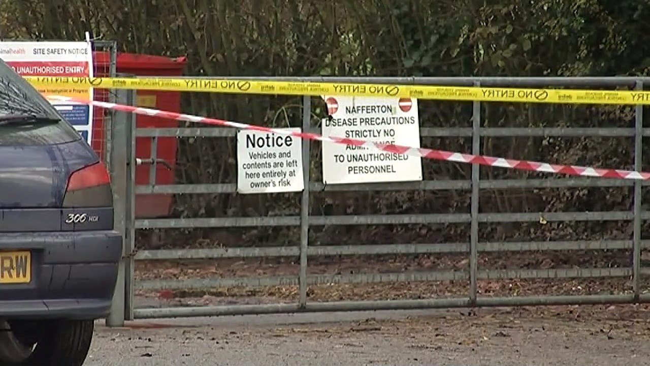 The duck breeding farm in Yorkshire affected by bird flu