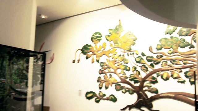 Mapping sur mannequin. Techniques d'imagerie médicale.