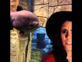 Sellllfffffiiiieee Pt. ???: Brittany Furlan's Vine #443
