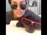 Jersey Shore reject speaks out.: Brittany Furlan's Vine #276