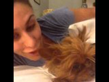 The guy in the frat who has no friends but his dog.: Brittany Furlan's Vine #254