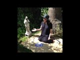 Perrrfect Compilation 2: Brittany Furlan's Vine