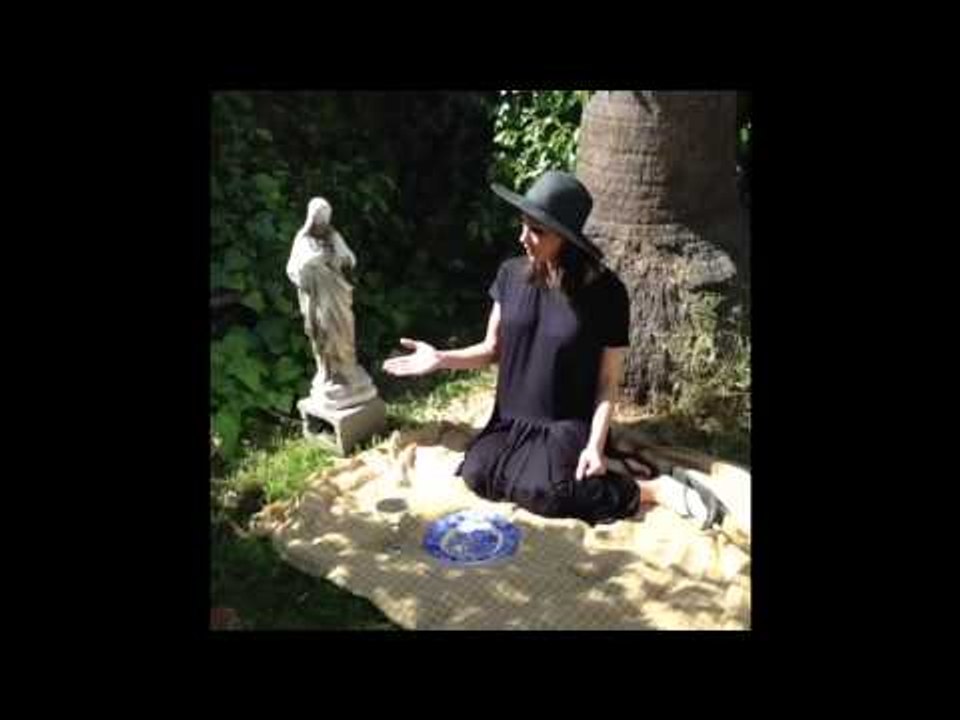 Perrrfect Compilation 2: Brittany Furlan's Vine