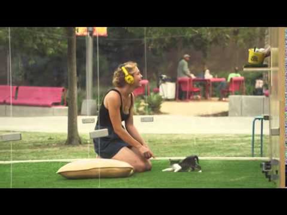 Stres Atmaya Bire Bir Yavru Kedi Terapisi