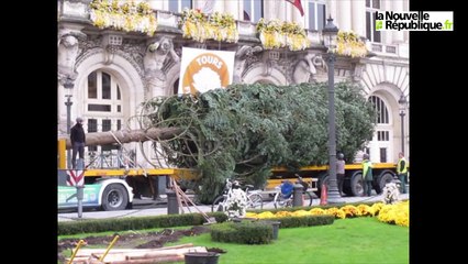 VIDEO. Tours : Le sapin de Noël est arrivé !