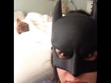 Batman feeds his dog. (My best BatDad impression): Brittany Furlan's Vine #476