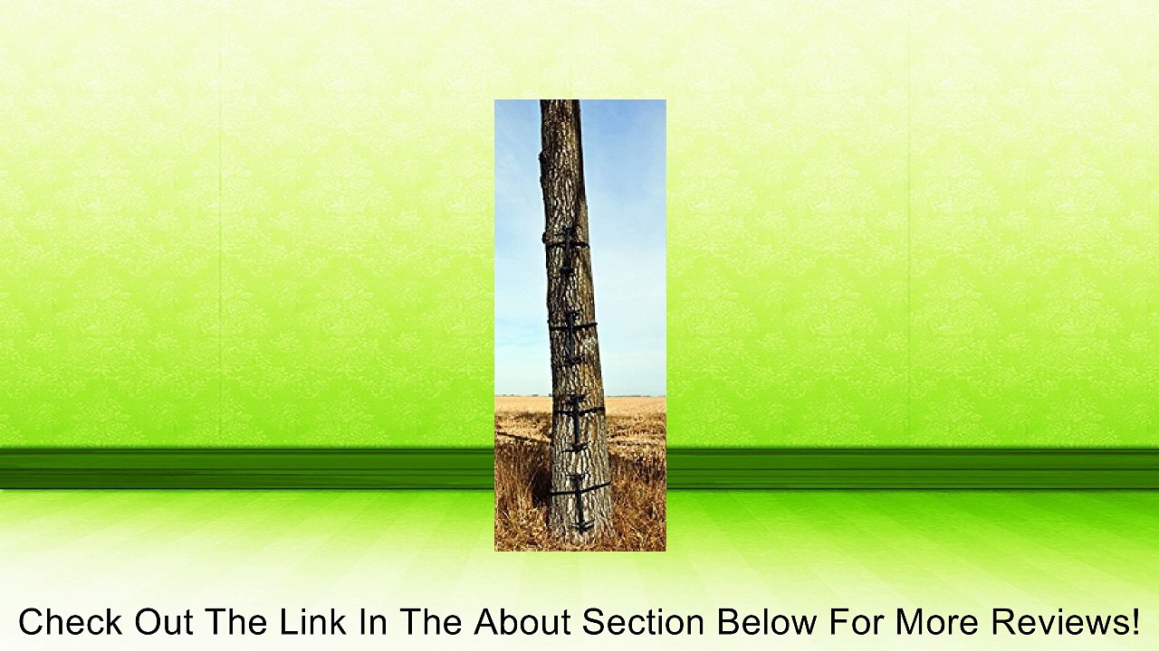 Big Game Treestands Pro-X Climbing System (4-Pack) Review