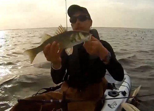 Rotomod - Kayak fishing - Nautic Video Awards 2014