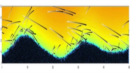 Comment se forment les rides des dunes de sable ?