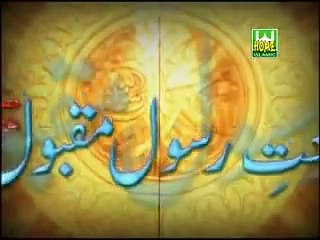 Little Farhan Ali Qadri Video Naat album 2011 - Humein Woh Apna Kehte Hain